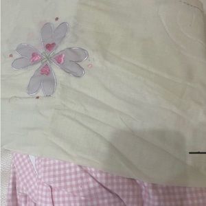 Pottery Barn curtains and matching pillows